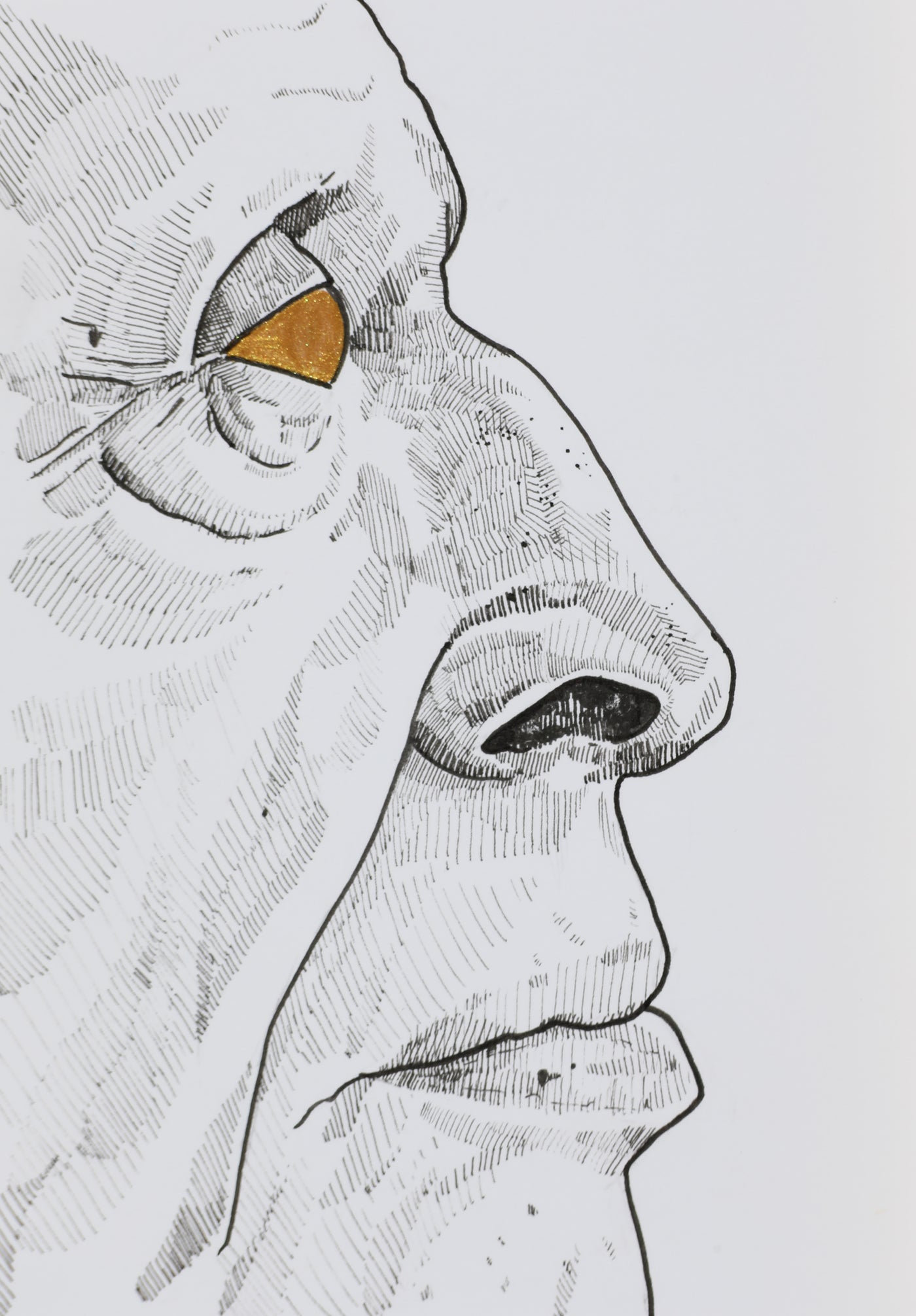JJ25:1098 Incognito Artwork