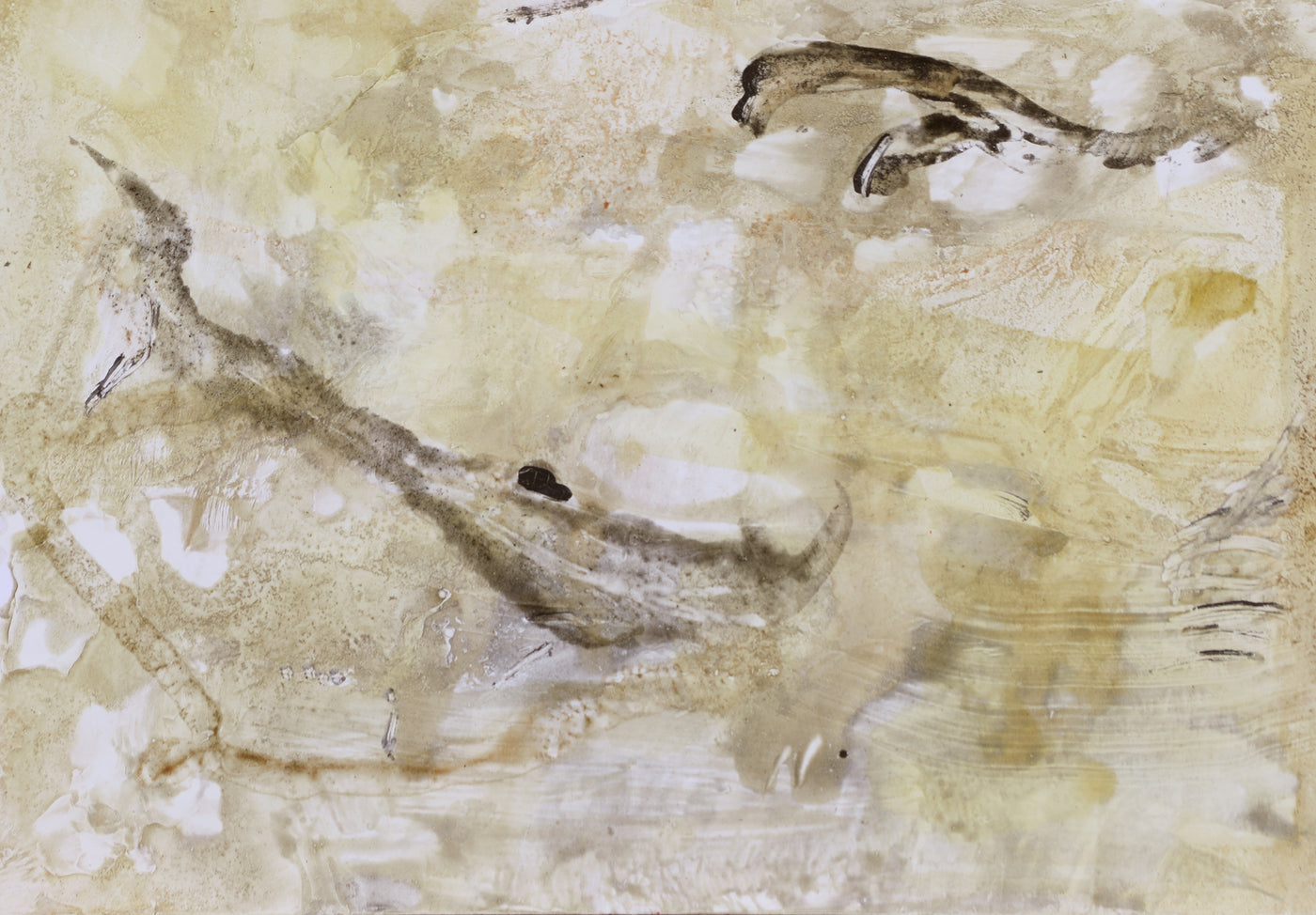 JJ25:1502 Incognito Artwork