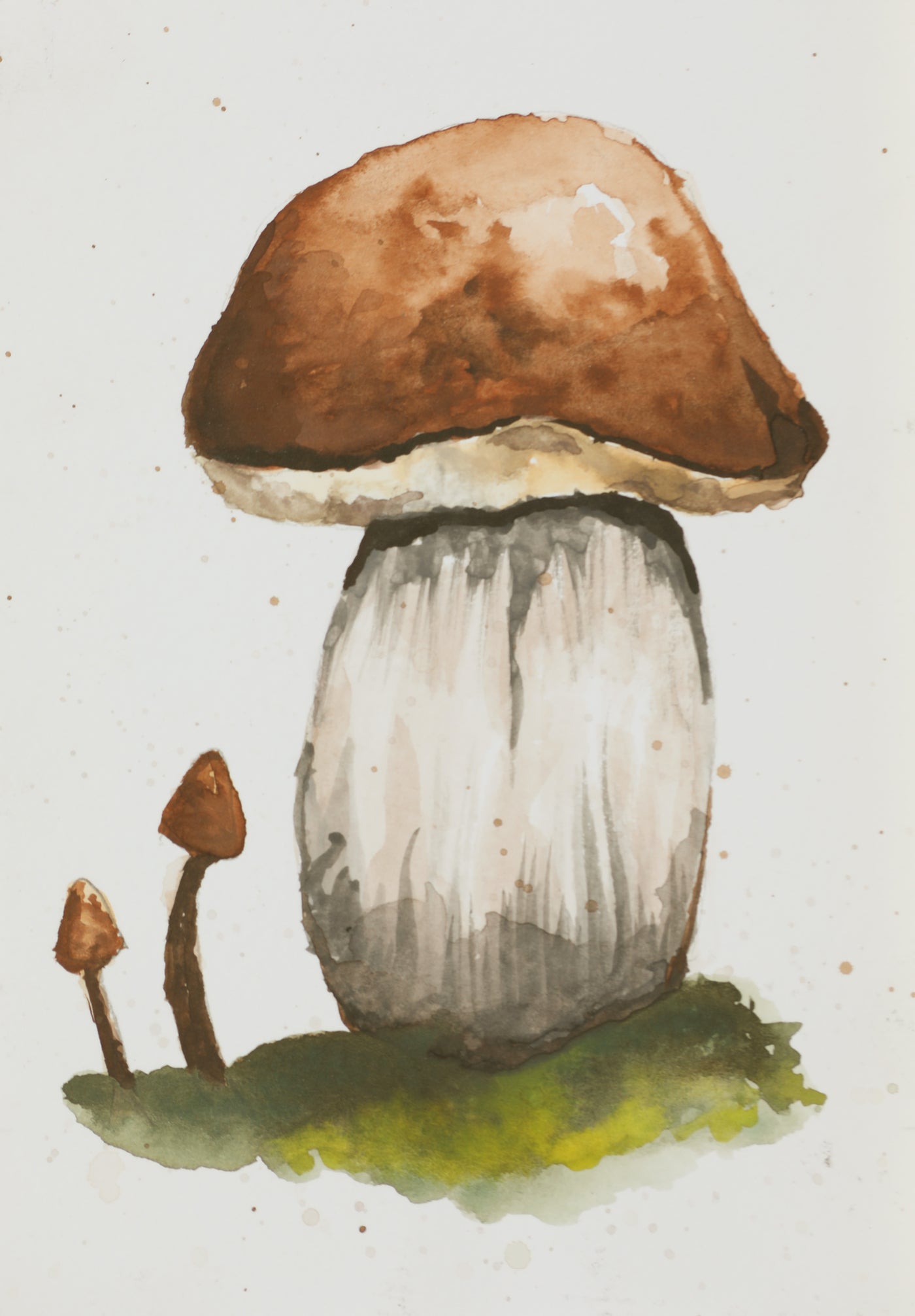 JJ25:2645 Incognito Artwork