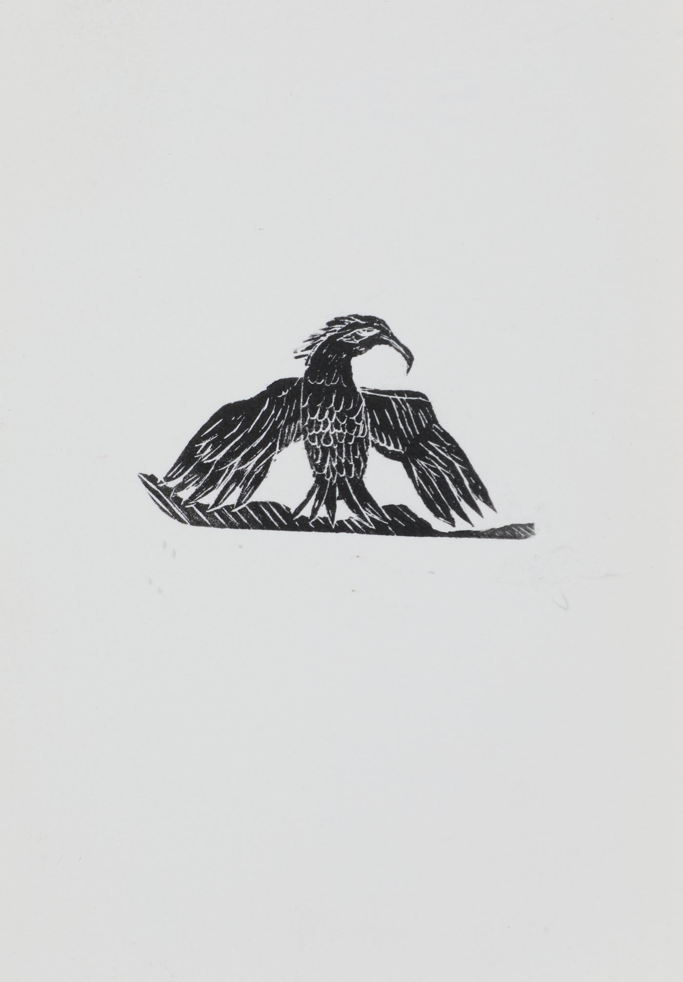 JJ25:2806 Incognito Artwork