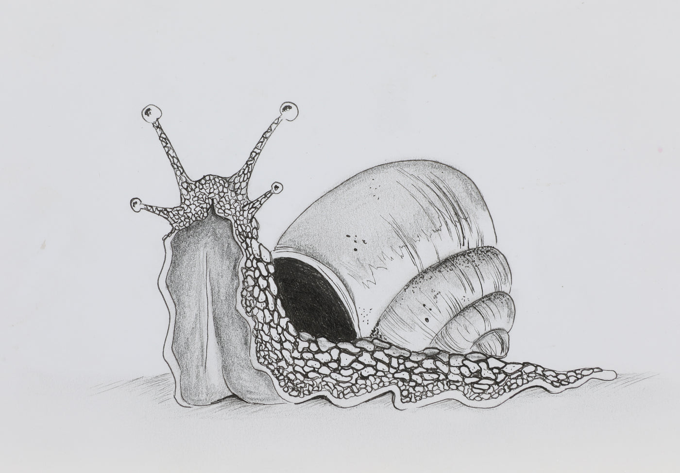 JJ25:2998 Incognito Artwork