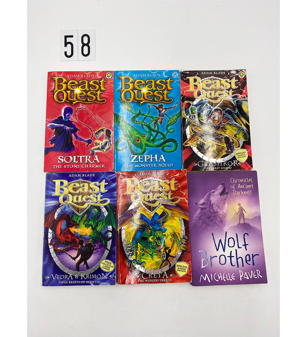 Book Bundle No.0058