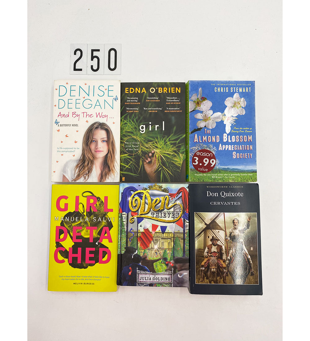 Book Bundle No.0250